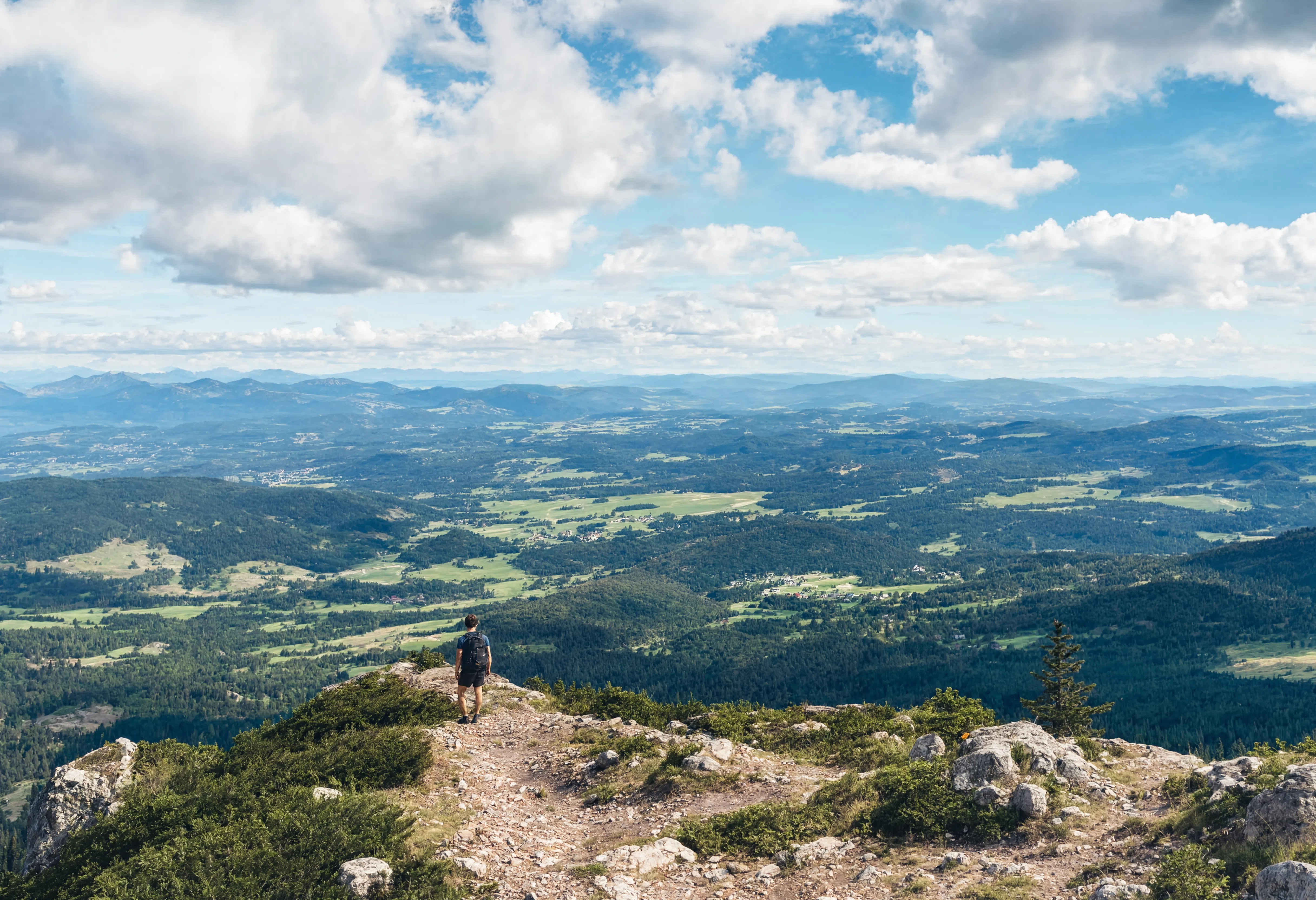 Premium Naturreisen Deutschland – Waldpfad Leistungen
